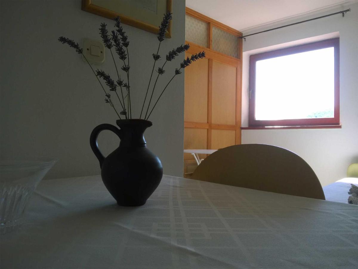 North Adriatic View Apartment Rabac Exteriér fotografie